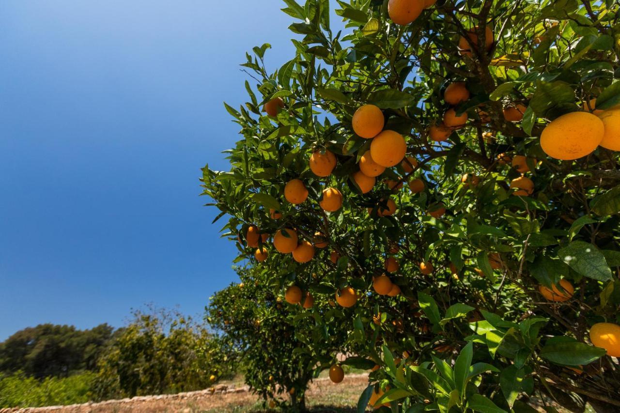 Agroturisme Can Planells Sant Miquel de Balansat Exterior foto